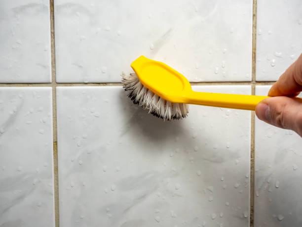 Best Mold Cleaning Services  in Nora Springs, IA